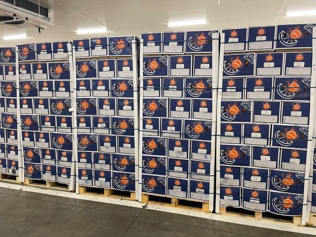 oranges produit — Oranges fraîches à jus | Orangoo x Junolia